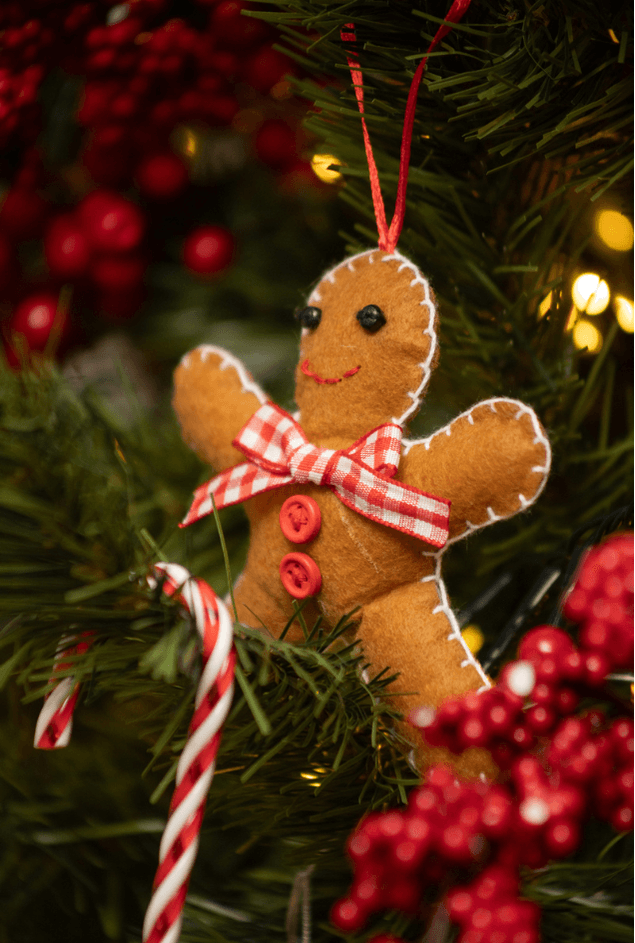 padrao vtex -635 × 945 px- -1- padrao vtex -635 × 945 px- -1-